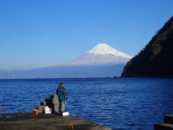 タイマイ